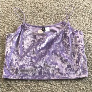 Purple, Velvet Crop Top